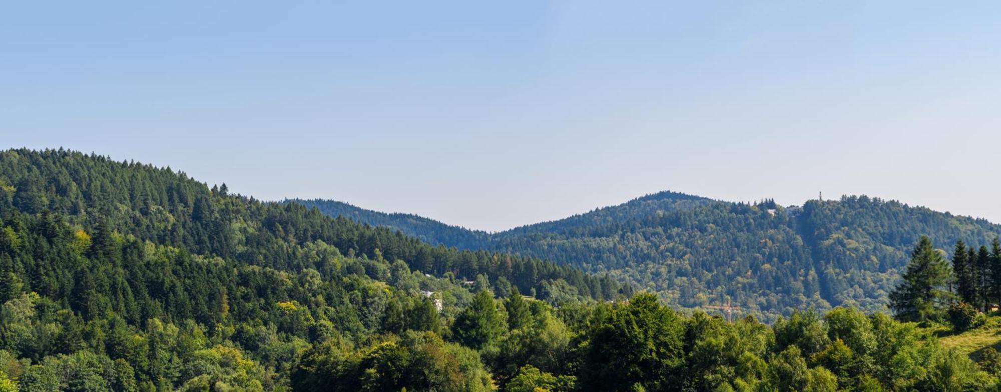 Apartamento Sloneczne Domki Krynica-Zdrój Exterior foto